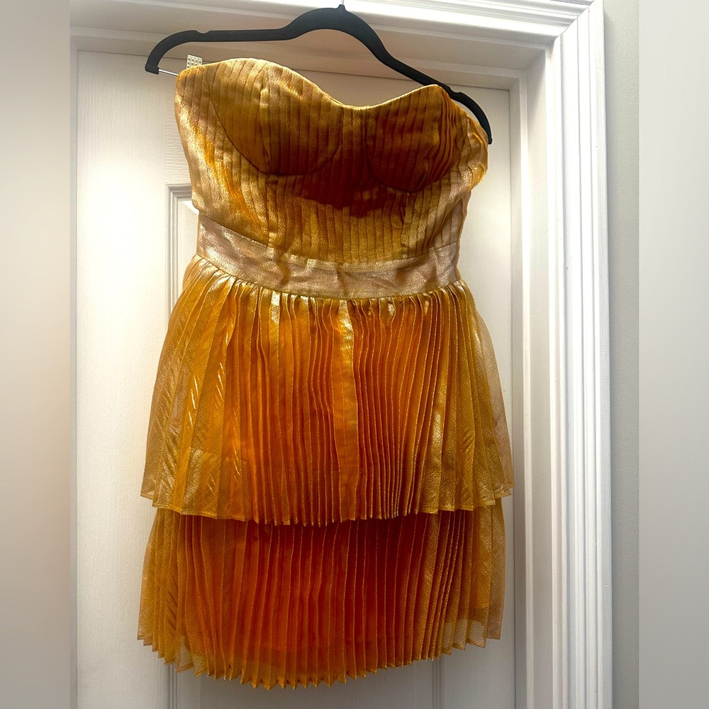 NWT Collective The Label Corset Tiered Dress